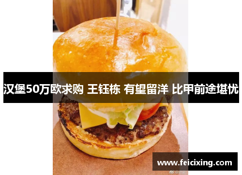 汉堡50万欧求购 王钰栋 有望留洋 比甲前途堪忧